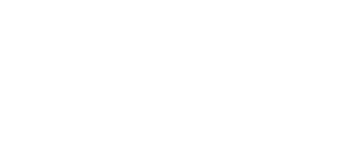Rithu Sarees | The Style Sympony